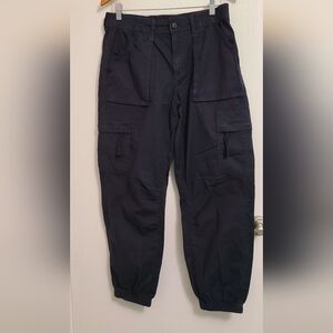 American Eagle Outfitters Dark Cargo Pants